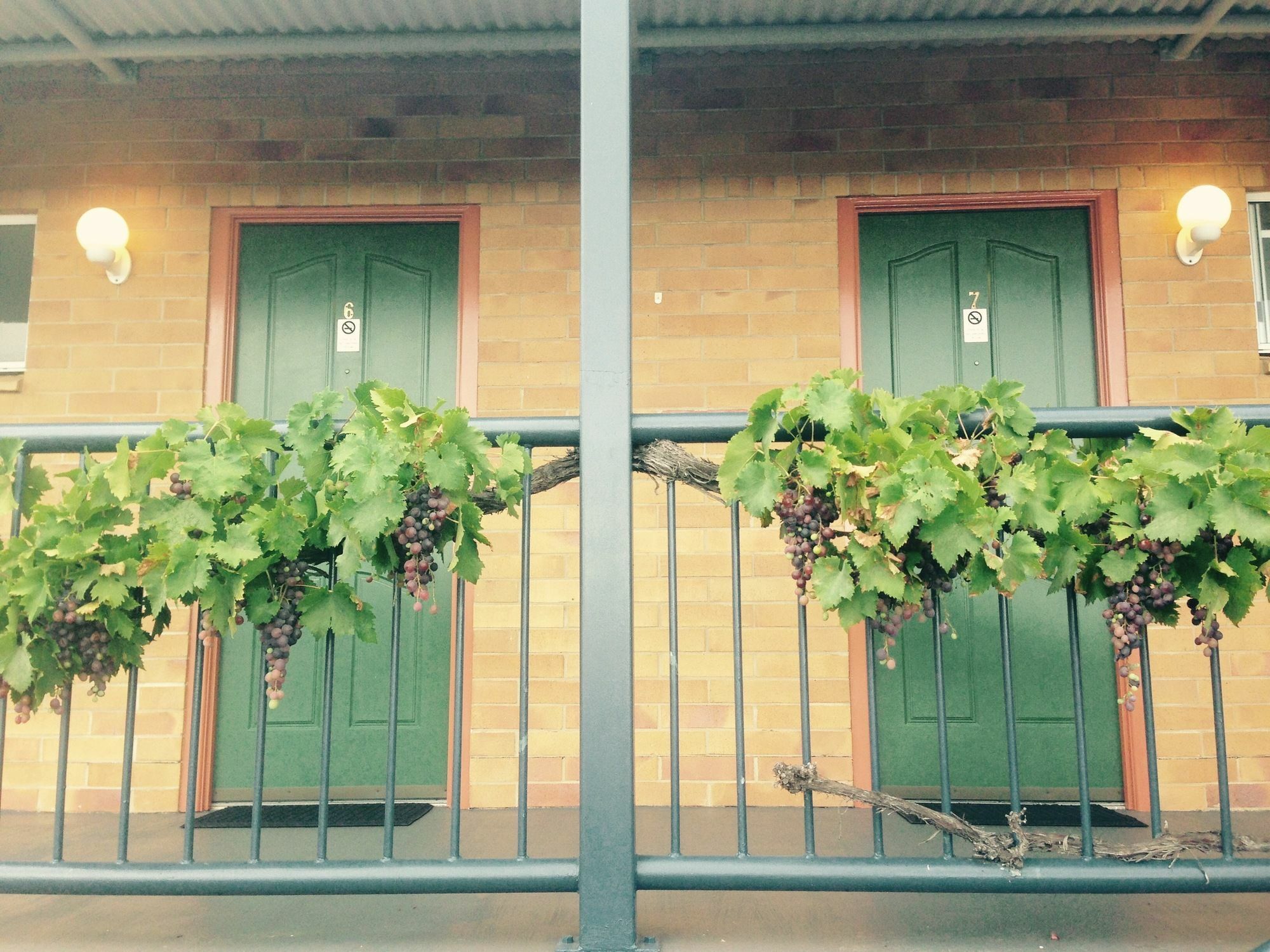 סטאנטהורפה The Vines Motel & Cottages מראה חיצוני תמונה
